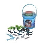 Shark Bucket