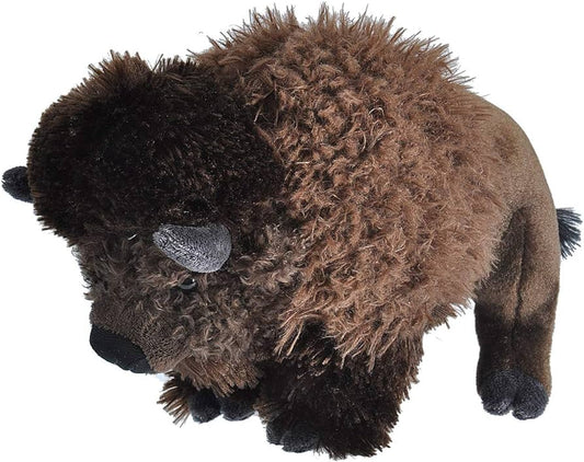 Bison