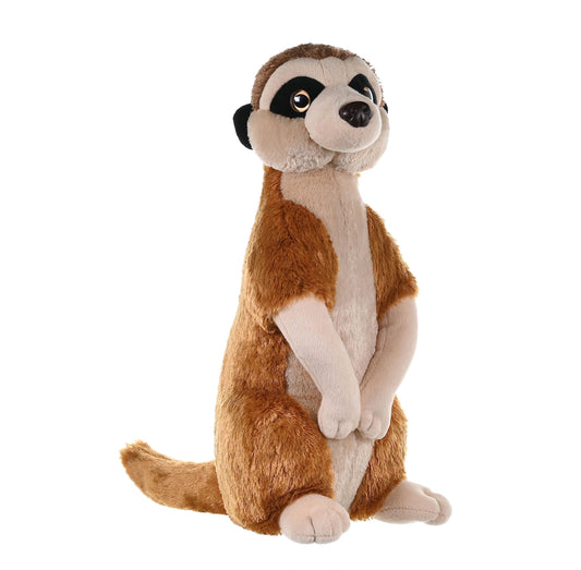 Meerkat