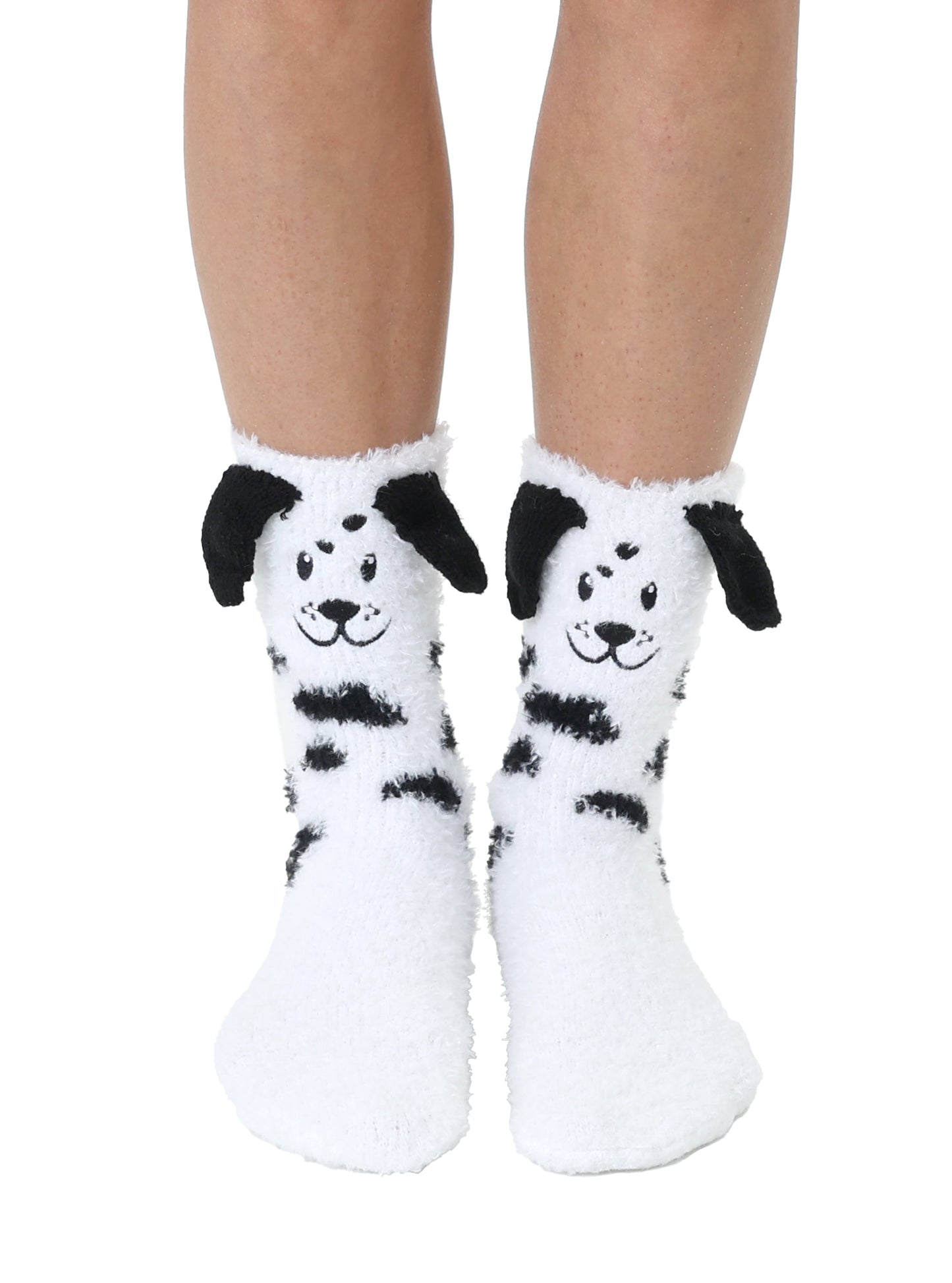 Dalmatian Crew