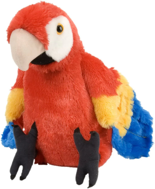 Parrot