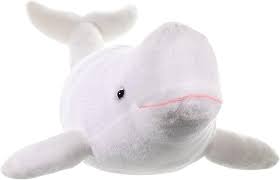 Beluga